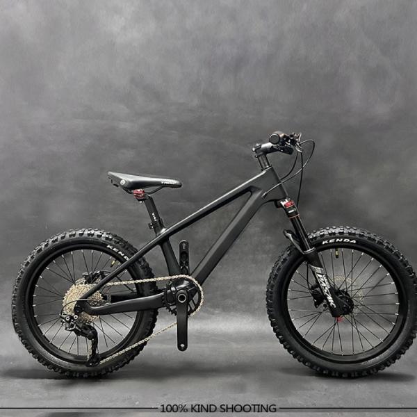 20er Kids Mountain Bike Disc Brake Shimano 10 Speed Bicycle For Children
