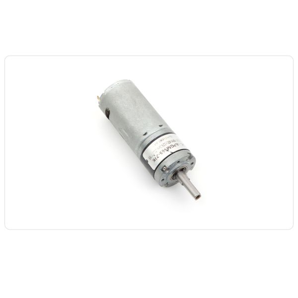 Customized DC Spur Gear Motor 7RGM520 3V- 24V High Torque Spur Gear Motor