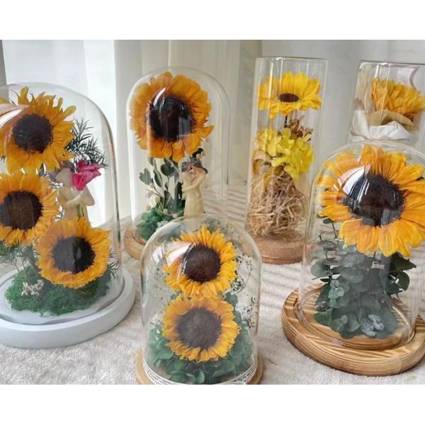 Flor conservada Flor de sol romántico regalo de San Valentín material de ramo hecho a mano