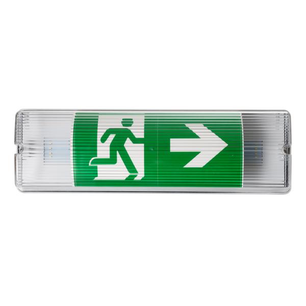 3W LED Emergency Light 6000K Waterproof Wall Mounted