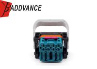 56 logement véritable de connecteur de Pin ECU pour VW Skoda Seat 4M0973050 4M0 973 050 d'Audi