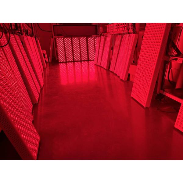 тело 660nm 850nm 1000w полное привело пользу светлой терапией коммерчески домашнюю