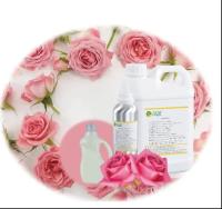 Mejor olor de detergente de ropa fragancias Rosa Rosa fragancia de detergente