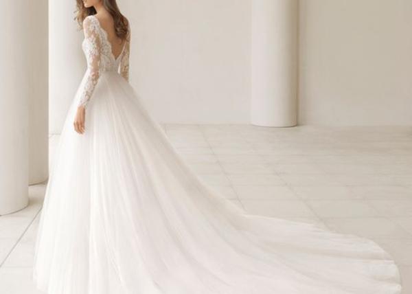 Simple Elegant Deep V Neck Wedding Gown Long Sleeve Backless Tulle Big Tail