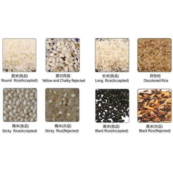 Цена машины сортировщицы цвета риса Брауна емкости чемпиона мини для завода мельницы риса