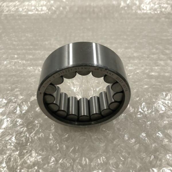 F-215227.01.RNU Hydraulic Pump Bearing F-215227 41.7*66*27mm Cylindrical Reducer Gearbox Roller Bearing