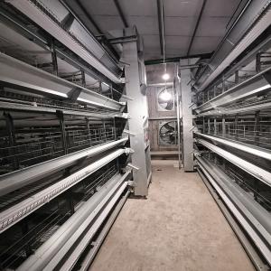 автомат питания бройлера 380V, горячее погружение 500KGS гальванизировал оборудование клетки цыпленка