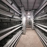 le conducteur automatique du grilleur 380V, l'immersion 500KGS chaude a galvanisé l'équipement de cage de poulet