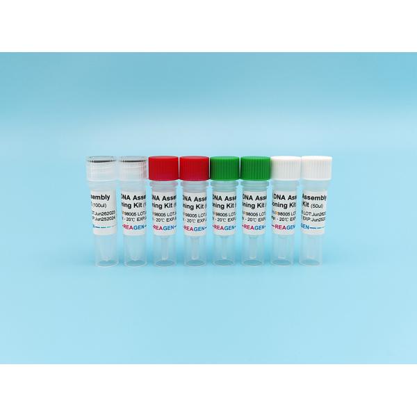 HiFi набор клонирования собрания ДНК