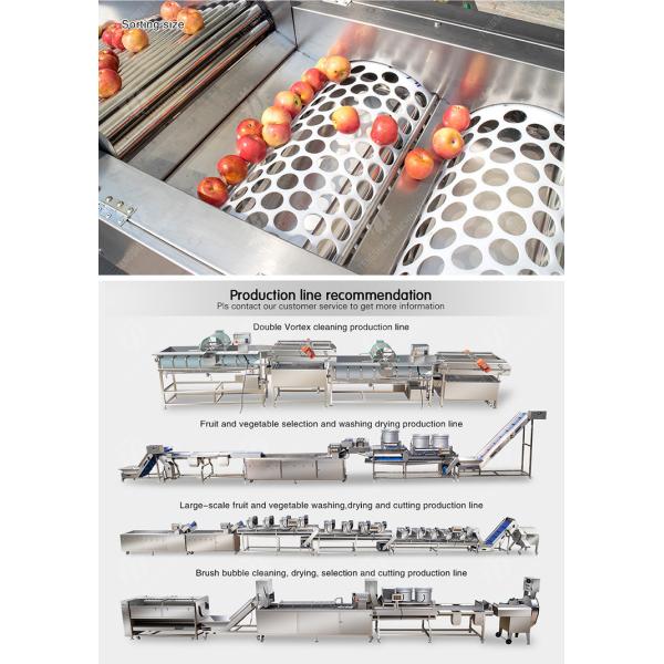 Fruit bubble washing and sorting production line Fruit Vegetable FOOD processing production Machine