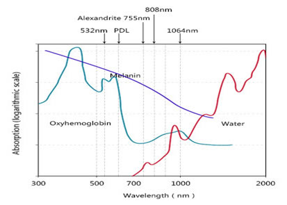 Лазер диода разделяет ручку удаления волос лазера длин волн 755нм/810нм/1064нм