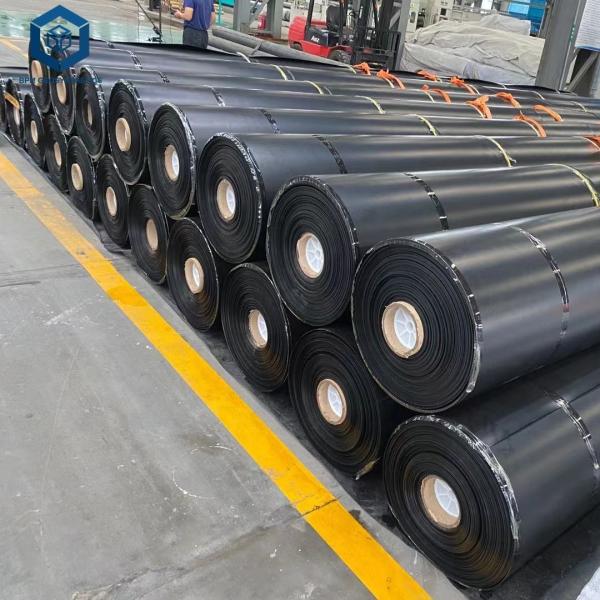 Heavy Duty GRI Polyethylene Geomembrane Plastic Fish Farm Pond Liner Hdpe