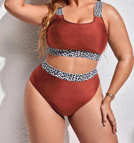 Grande roupa de banho sexy preto Gauze Swimsuits das senhoras do tamanho 2 partes mais o tamanho