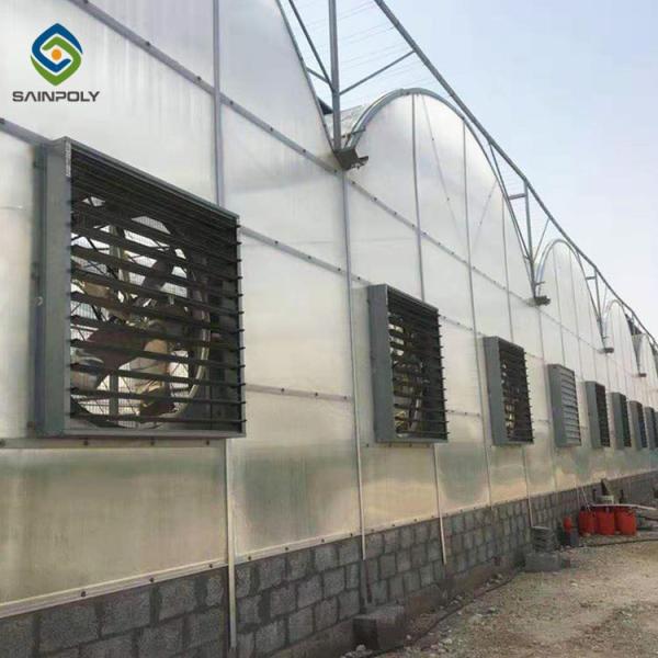 Vegetable Multi Span 3.0m Arch PC Sheet Greenhouse