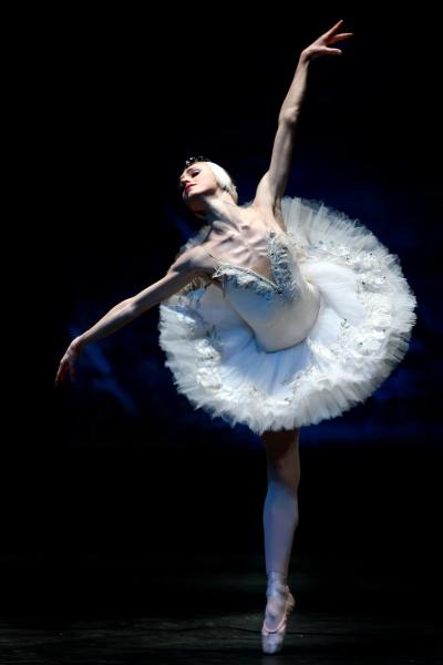 The new 2016 ballet skirt adult professional ballet costumes veil TUTU skirt swan lake show
