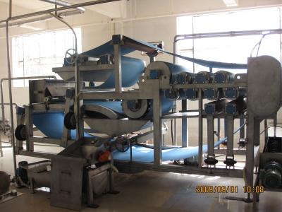 SS304 5T/H concentrou a linha de processamento 15T/Day do abacaxi