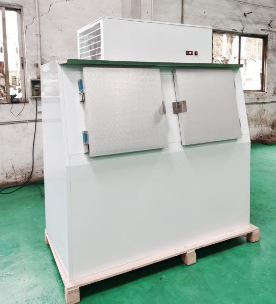 Commercial Bagged Ice Merchandiser