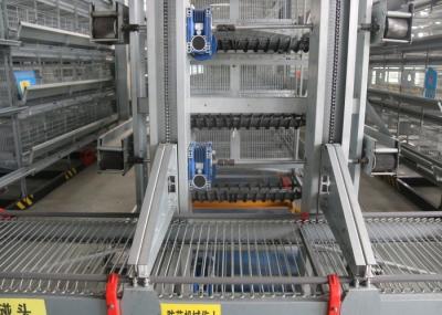 Eco - Friendly Safe Chicken Farm Poultry Equipment Customized Size