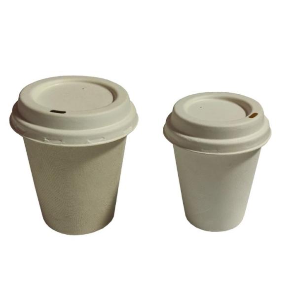 80mm Molded Pulp Sugarcane Compostable 8oz coffee cup lids