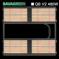IP20 Bavagreen 480W LED crecen la iluminación interior roja clara de la horticultura del IR