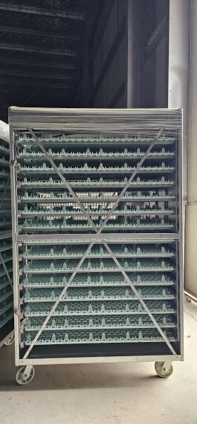 incubateur industriel de 100000 œufs