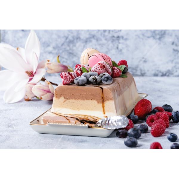 Fibra resistente a la digestión para el equilibrio de los microorganismos intestinales