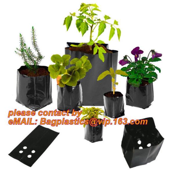 Biodegradable Planter Black Seedling Planter Tomatoes Growing Bags Heavy Duty Aeration Plant Grow Bag