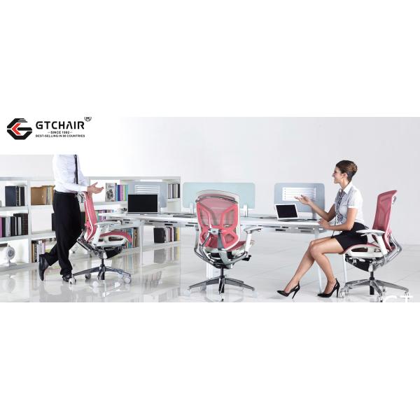 High Back Adjustable Swivel Chair With Armrest Ergonomic Lumbar Support