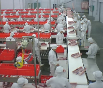 Beef / Meat Conveyor Systems , Food Processing Industrial Conveyor Systems