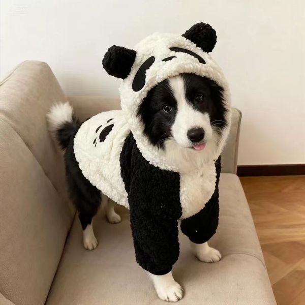 Border Collie Dog Clothing Panda Model Large Sized Dog Labrador Retriever Winter Samoyed Pet Clothing Pet Faux Lamb Fur Dog Coat
