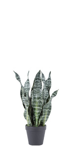 Artificial Succulent Plants - Realistic Artificial Flowering Cactus, Fake Succulent Plant Decor for Home Office