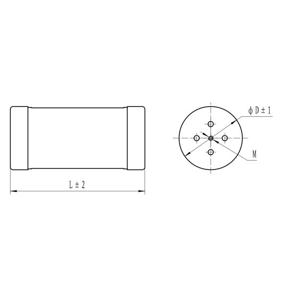 RXQAN Varnished Wirewound Resistor