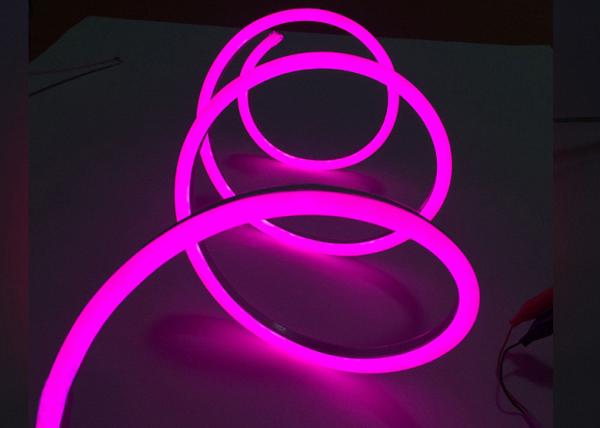 110V Input  Mini Neon Flex LED   Lights  Decorative Waterproof Color Jacket