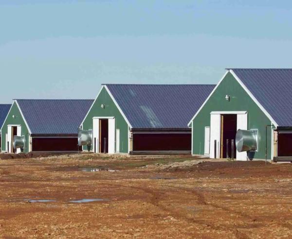 Estrutura leve pré-fabricada de aço de estilo industrial