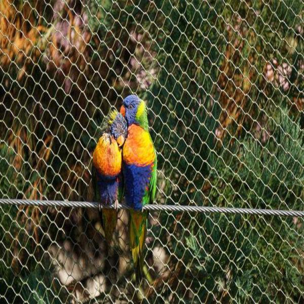1.2mm 4.0mm SS 304 Wire Mesh Bird Mesh 60 Degree For Zoo Animal Enclosure