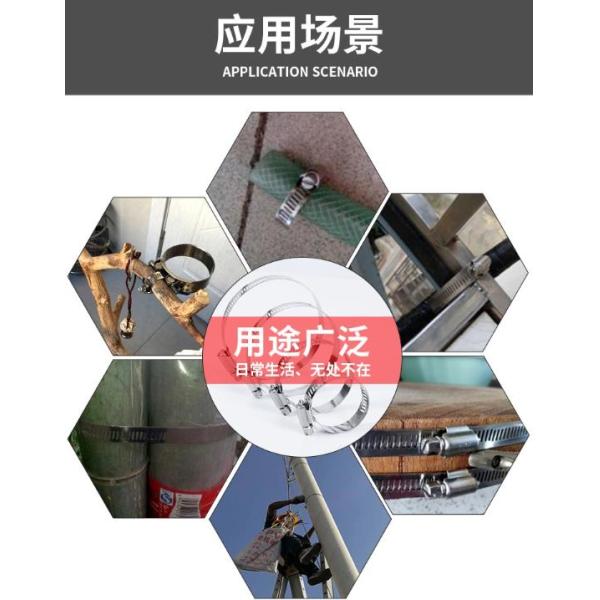 SS304 8-12mm Sanitary Pipe Fittings Single Pin Stainless Steel Hose Clamp