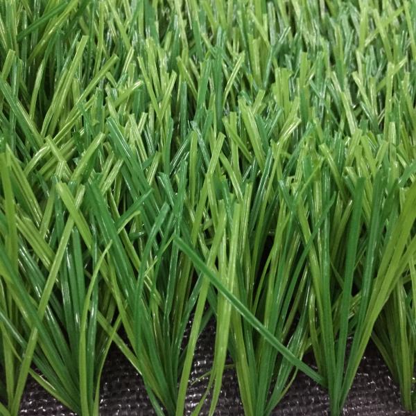 50mm 55mm Football Indoor Outdoor Grass with Good Water Permeability