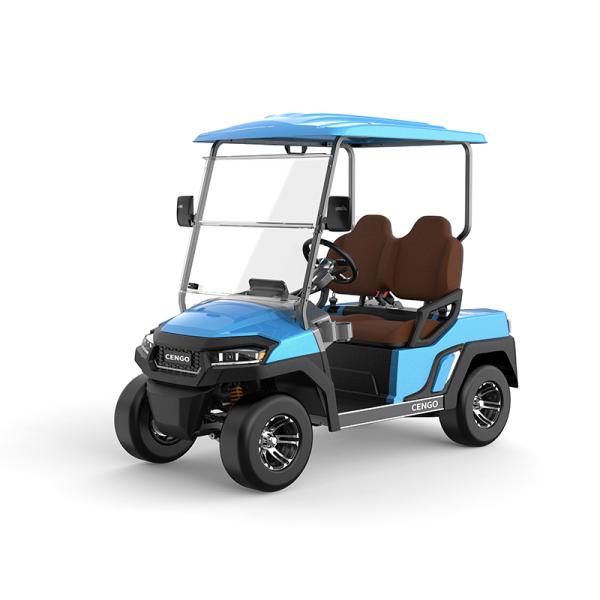 Affordable 2 Seat Electric Golf Buggy Perfect for Family and Hunting on the Beach