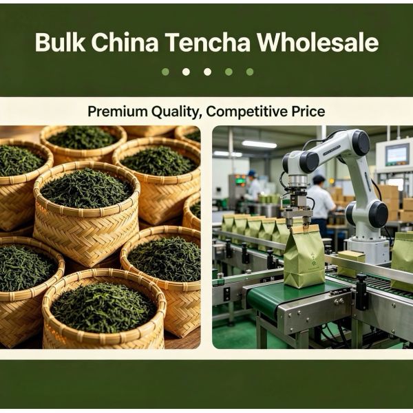 Umami-rich Shade-grown Tencha Green Tea Leaves - Steamed and De-veined Matcha Base Material for Beverages and Desserts