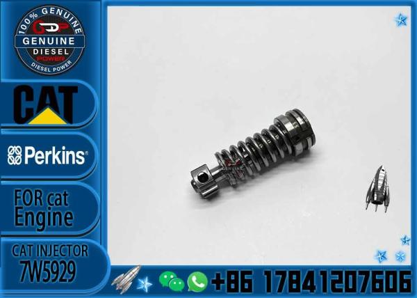 Diesel Fuel Injection Pump Plunger 1w6541 4p9830 9h5797 6n7527 Plunger Barrel 7W5929 Element for CAT 3304 3306 Diesel En