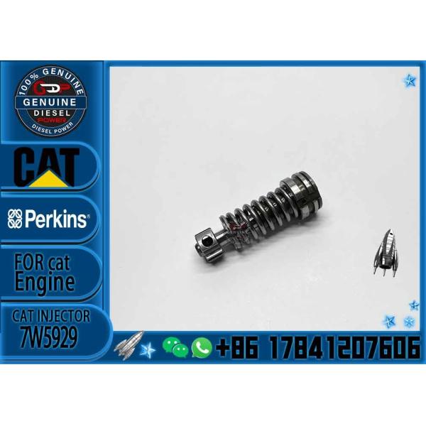 Diesel Fuel Injection Pump Plunger 1w6541 4p9830 9h5797 6n7527 Plunger Barrel 7W5929 Element for CAT 3304 3306 Diesel En