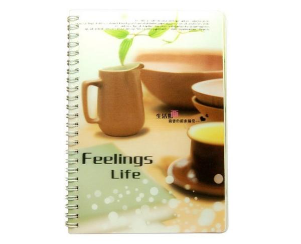 PLASTIC LENTICULAR custom A variety of 3D coil notebooks pp pet 3D student notebook