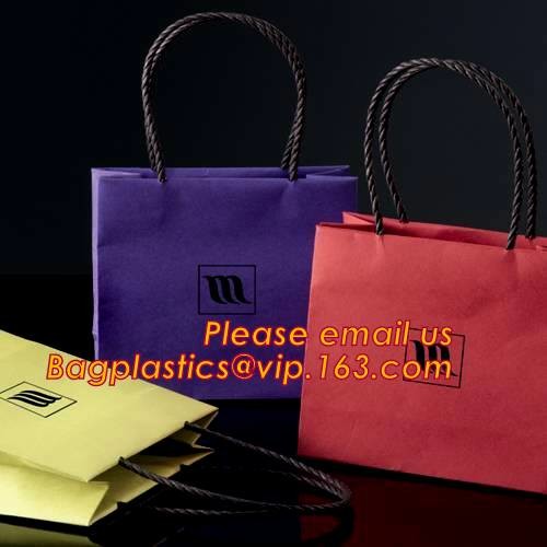 Luxury reusable sturdy screen printing carrier paper bag for shopping,luxury carrier paper bag with plastic handle & riv