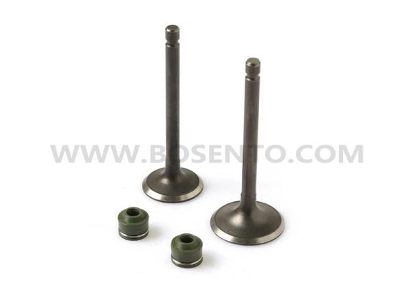 Original Motorcycle Engine Intake Exhaust Valve for Yamaha YBR125 5VL, JYM125
