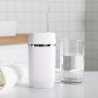 Lithium électrique de Mini Water Flosser Ultralight 165ml de dent d'ABS à piles