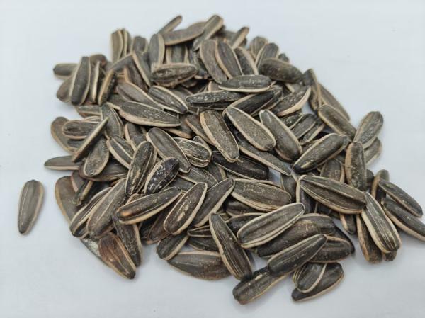Original Flavor Salt Vinegar Sunflower Seeds