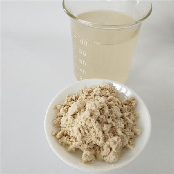 avocado powder buy  best dried avocado powder health benefits supplement products drink dosage pills