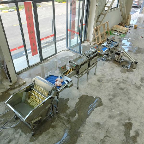 Low Noise Operation Is Suitable For The Factory Multi-Function Egg Knocking Machine Production Line