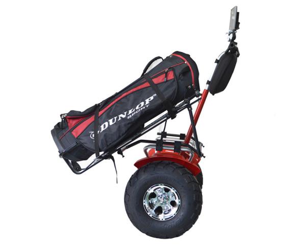 21 Inch Two Wheel Selfbalance Scooter Board With Rechargable Lithium Battery