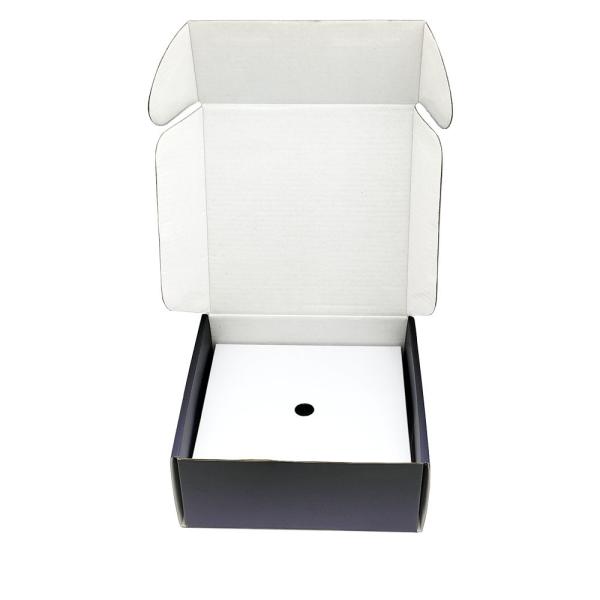 Caja de embalaje de envío corrugada para cosméticos y cuidado de la piel con inserto, para tarjeta de captura de vídeo USB, cartón, papel, correo.